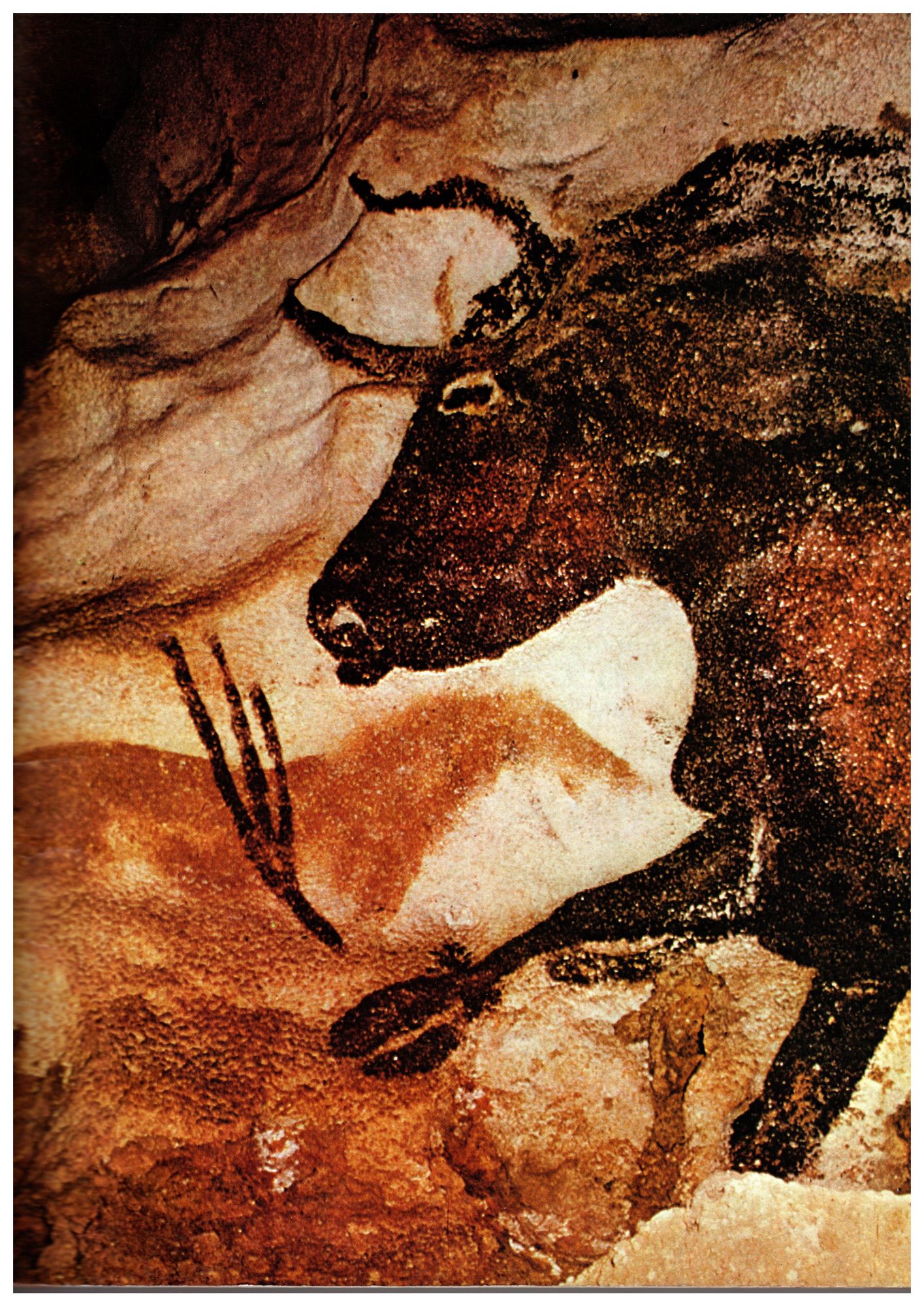 Černý býk (skalní malba z jeskyně Lascaux)