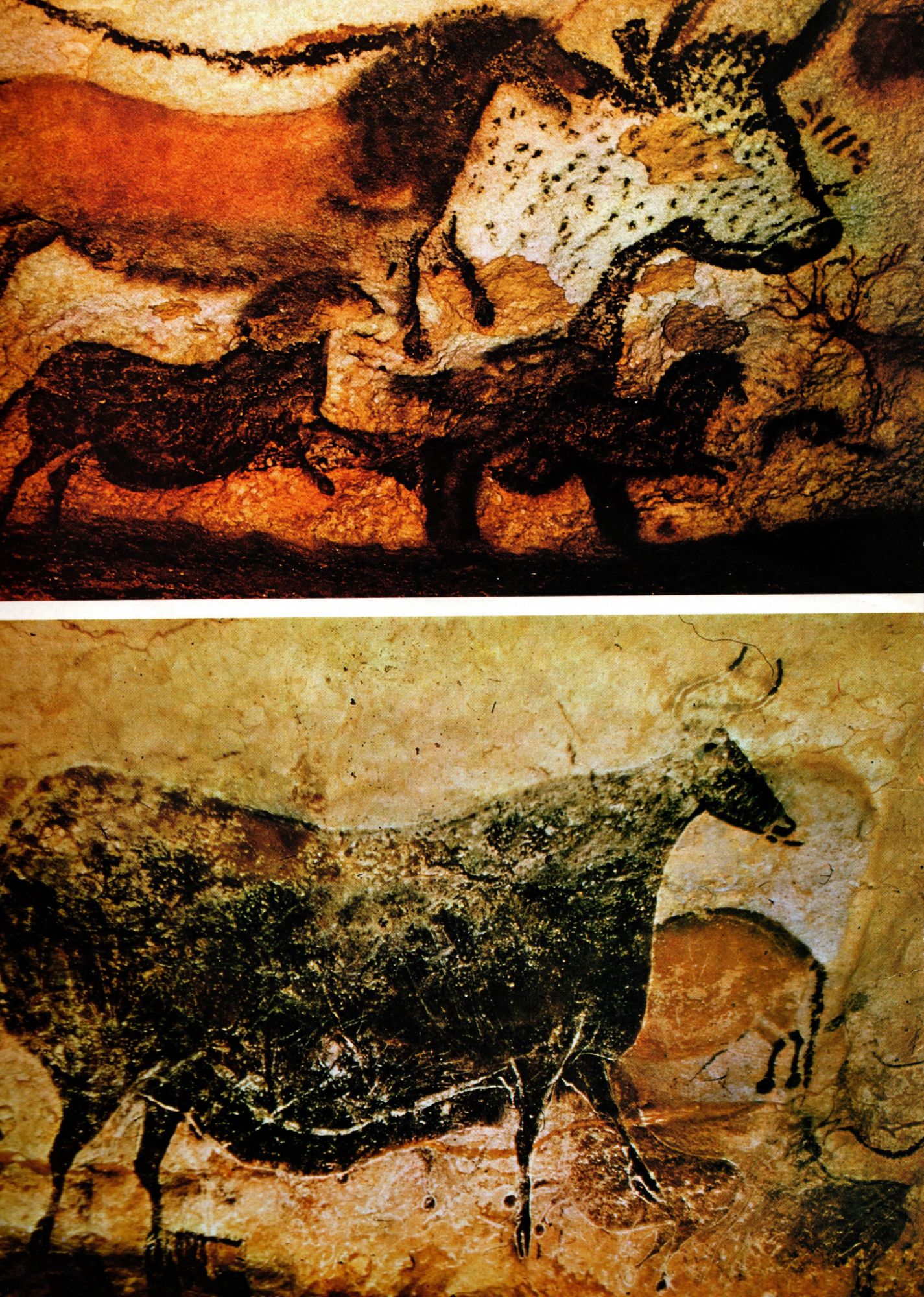 Býčí hlídka (skalní malba z jeskyně Lascaux)