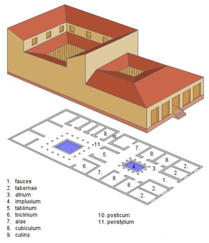 Domus